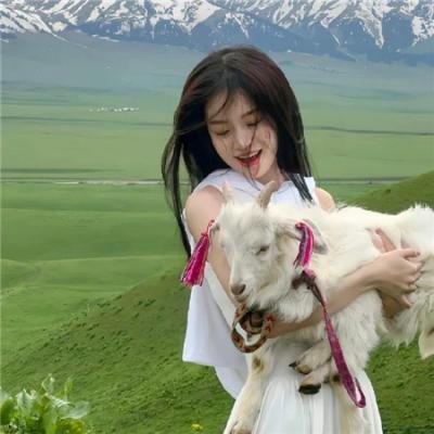 花落莺啼春 在线观看