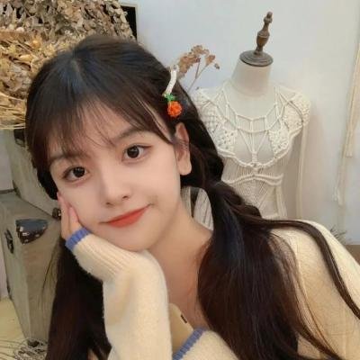 探长薇拉第十四季 在线观看